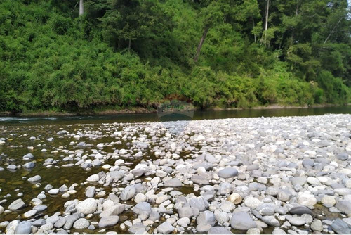 Tu Refugio Natural En Valdivia 26000 M² De Ensueño