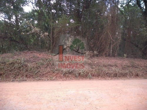 Imagem 2 de 2 de Terreno - Ref: 3984 - V-3984