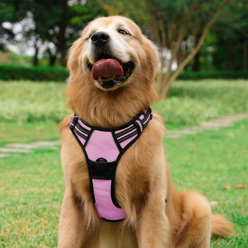 Arnés Para Perro Rabbitgoo No Tirar, Ajustable, Talla L