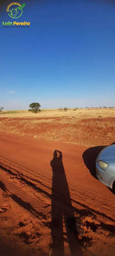 Imagem 1 de 7 de Fazenda À Venda Em Camapuã -ms - 360 Hectares (agricultura) - 2074