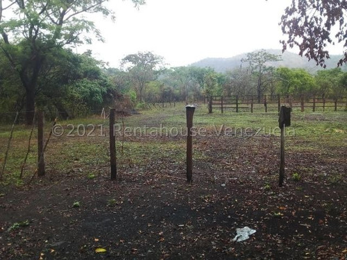 Imagen 4 de 8 de Finca Vallecito Carretera Vía San Sebastián De Los Reyes. Codigo 22-14451 Yinett A