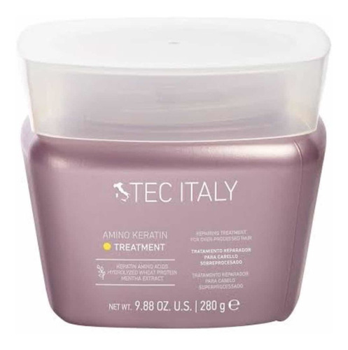 Tratamiento Cabello Maltratado Amino Keratin Tec Italy 280 G