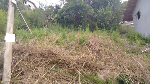 Imagem 4 de 4 de Terreno - Bv085 - 70655424