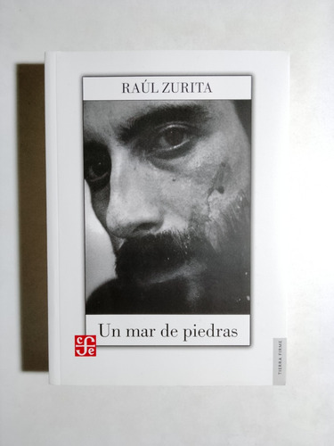 Raúl Zurita - Un Mar De Piedras 