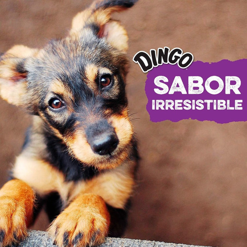 Imagen 3 de 9 de Dingo Large Hueso Perros Pack 1und 99gr