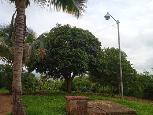 Imagen 7 de 12 de Granja Venta Cabudare En Venta, Piedad Sur, Estado Lara