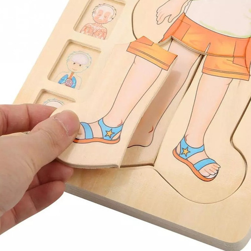 Juguete Educativo De La Estructura Del Cuerpo Humano For Ni