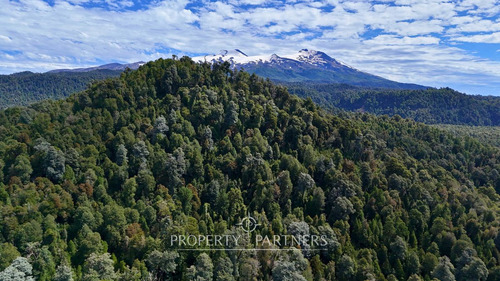 Casa Refugio En Reserva Biológica Huilo Huilo
