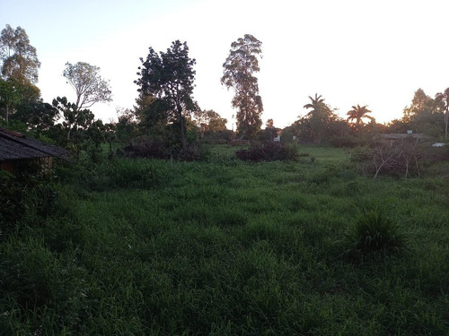 Imagem 15 de 18 de Chácara Com 2 Dormitórios À Venda, 10000 M² Por R$ 660.000,00 - Loteamento Porto Dourado - Foz Do Iguaçu/pr - Ch0017