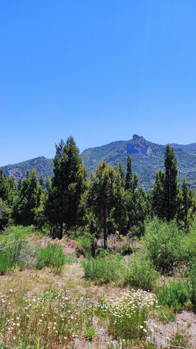 Terreno - Villa Lago Gutierrez