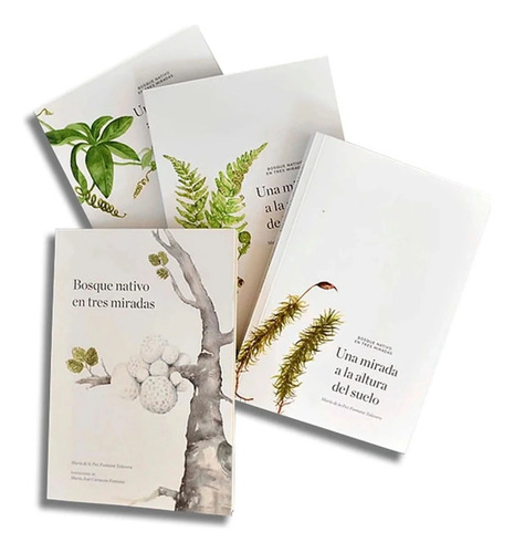 Libro Bosque Nativo En Tres Miradas (set De 4 Libros) 