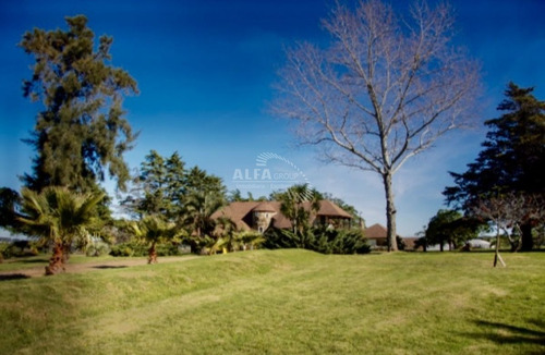 Imagen 7 de 30 de Chacra En Venta En Ruta 39