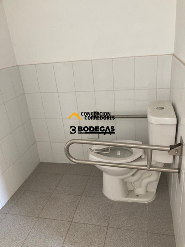 Arriendo Bodega De 300 M2 En Camino A Noviciado.