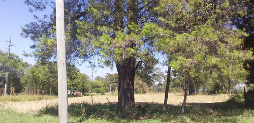 Imagen 4 de 8 de Venta Terreno Ruta Provincial 6 18441m2 Zarate