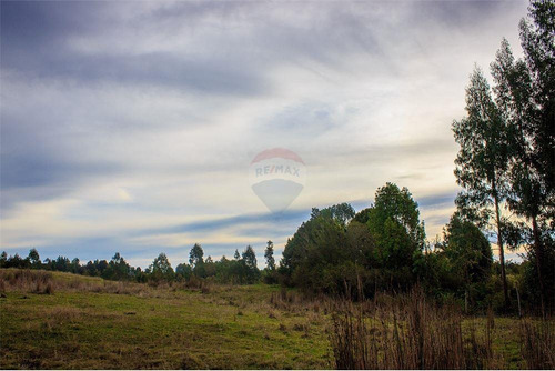 Imagen 9 de 30 de Parcela En Proyecto Lecam - Chiloé