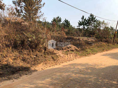 Imagem 9 de 13 de Chácaras, São Lourenço Da Serra - R$ 89 Mil, Cod: 4305 - V4305