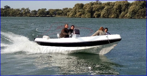 Imagen 16 de 19 de Lancha Nikita Open 5.20 Con Motor Mercury 50 Hp 4t Elpt