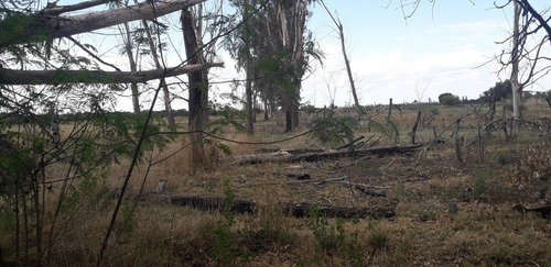 Imagen 6 de 7 de Finca En Blanco En Las Paredes San Rafael Menoza