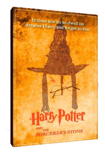 Cuadros Poster Harry Potter Piedra Filos. L 29x41 (apf (3))