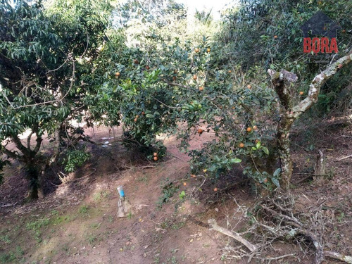 Chacara Mairiporã - Ch0296