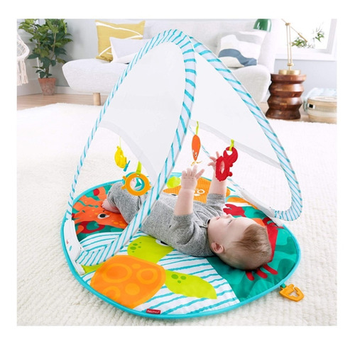 Gimnasio Portátil Para Bebe Fisher Price, Fxc15