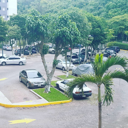 Imagen 7 de 14 de Oportuni Para Personal De Embajadas O Ejecutivos Cerca Embj.