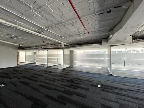 Oficina En Renta - Masaryk Piso 7 - 511 M2