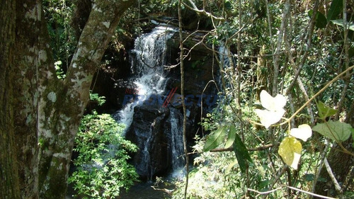 Imagem 11 de 21 de Fazenda À Venda Em Fazenda Paraiso - Fa238982