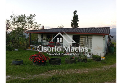 Venta De Finca En El Guamo