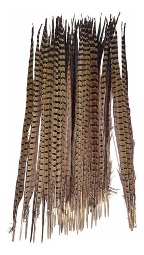 5 Plumas De Faisán