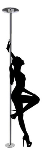 Removable Exotic Stripper Dancing Pole Dance Pole 45mm ...