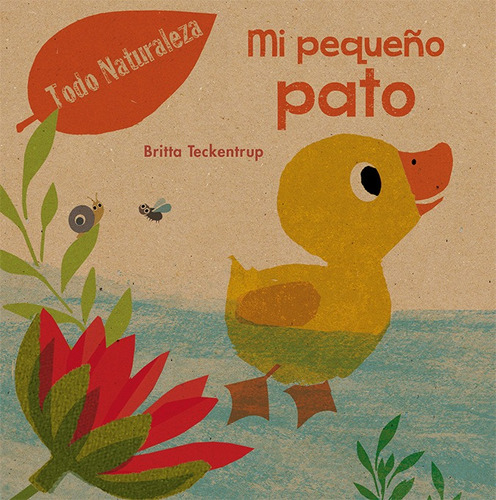 Pequeño Pato Mi