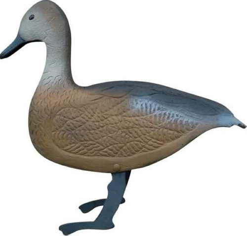 Chama Chamariz Marreca Caneleira Teche Pato Caça Unidade