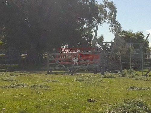 Imagen 2 de 15 de Venta,de Importante Campo En Roberto. J. Payro, Partido De Magdalena.