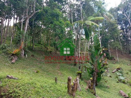 Imagem 21 de 29 de Sítio Com 20.700 M² Em Juquitiba-sp Ref.: 0855