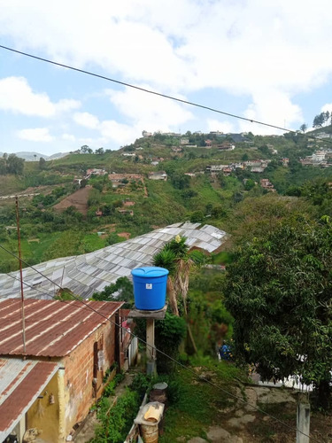 Imagen 13 de 14 de Excelente Terreno En La Lagunetica
