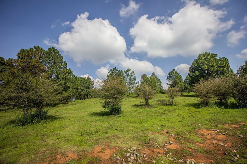 Terreno En Venta En Real De Encinos, Tapalpa, Jalisco.