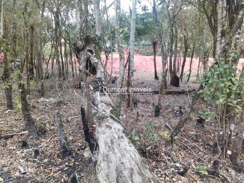 Imagem 3 de 4 de Lote De1300m2 Dumont Imóveis Ibiúna - Nós Realizamos Sonhos!