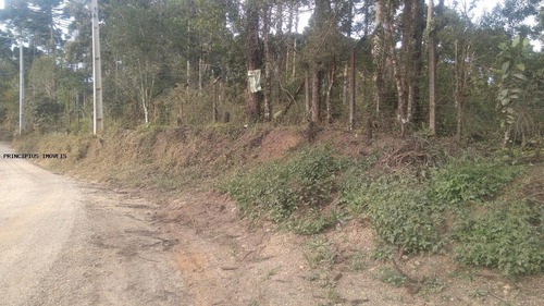 Imagem 13 de 15 de Chácara Para Venda Em Campina Grande Do Sul, Imbuial - 00292_2-1224372
