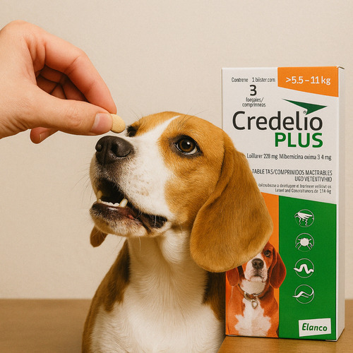 Pastilla Contra Pulgas Y Garrapatas En Perros 5.5 A 11kg