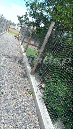 Malla Alambre Cerco Electrosoldada 50x150mm 2mt Rollo X 4mts