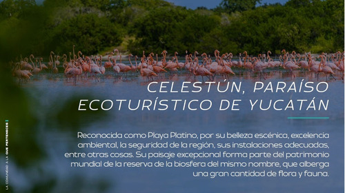 ¡vive Cerca Del Mar! Terrenos En Venta Con Club De Playa En Celestún Yucatán