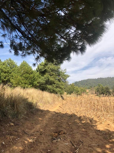 Imagen 8 de 24 de Terreno En Venta En Amanalco De Becerra, Amanalco, Edo. De México.
