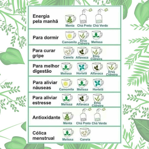 Kit 3 Capim Cidreira Chá Orgânico Campo Verde 10 Sachês