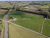 Comprar Chacra En Canelón Chico, 4 Has Con Casa, Barbacoa, Apartamento. Canelón Chico