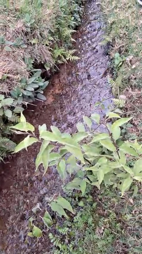 4.2 Hectáreas Con Manantial A 40 Minutos De Valle