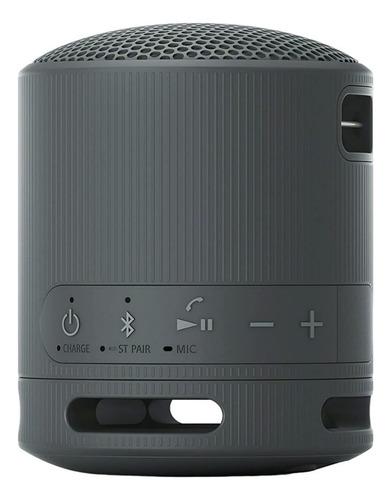 Altavoz Portátil Inalámbrico Bluetooth Sony Srs-xb100 Negro