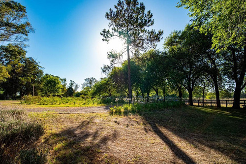 Imagen 4 de 21 de Lote En Venta En Azzurra Tortugas. Consultar Financiacion