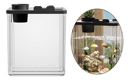 Hábitat Para Reptiles Clear View Para Terrario De Negro