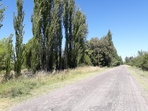 Imagen 5 de 17 de Venta | Quinta - Campo - Finca 12.5 Ha - San Rafael - Mendoza | 2 Casas